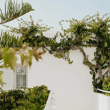Отель Mr And Mrs White Paros 4*
